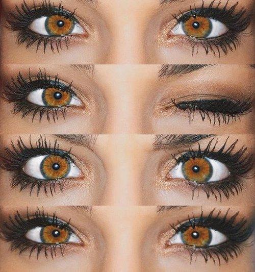 Hazel And Brown Contact Lenses